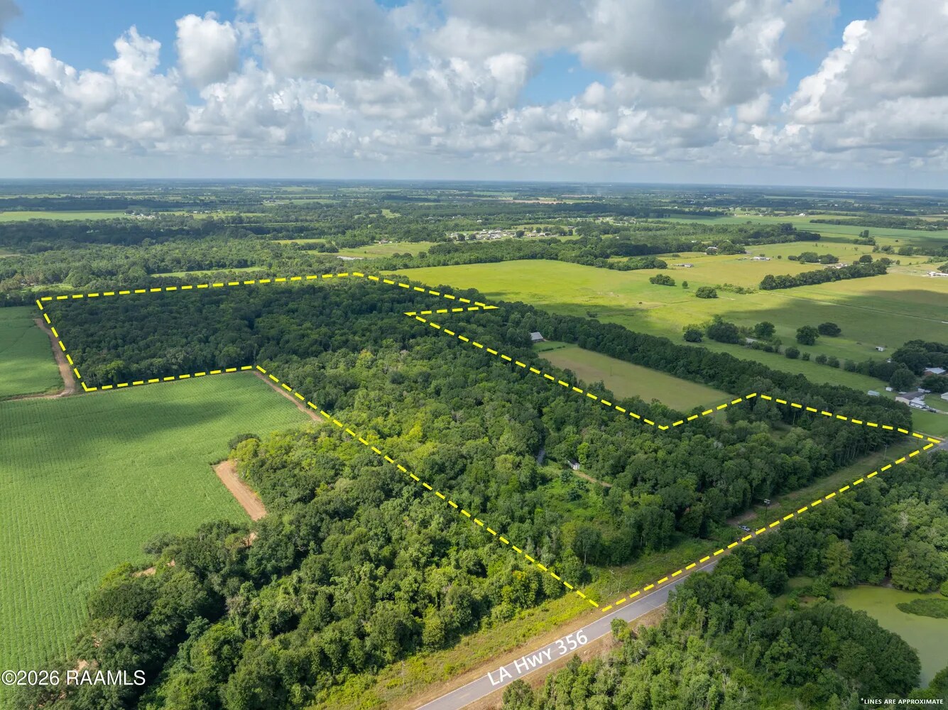 Aerial view of the 47.91-acre property along Louisiana Highway 356 near Sunset